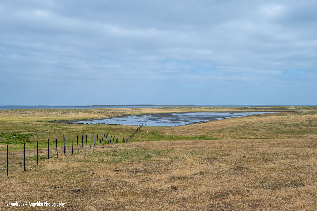 an-Falkland-2024-02-19__Z6X1850.jpg