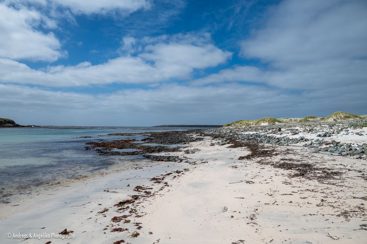 an-Falkland-2024-02-19__Z6X2373.jpg