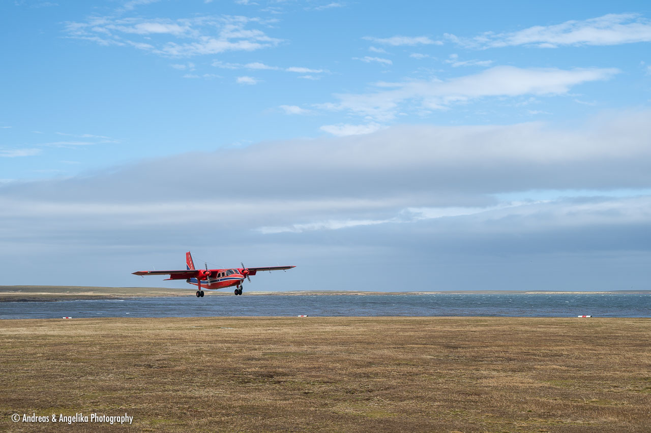 an-Falkland-2024-02-20__Z6X3395.jpg