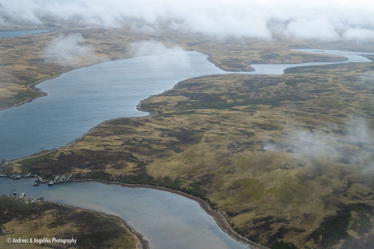 an-Falkland-2024-02-20__Z6X3436.jpg