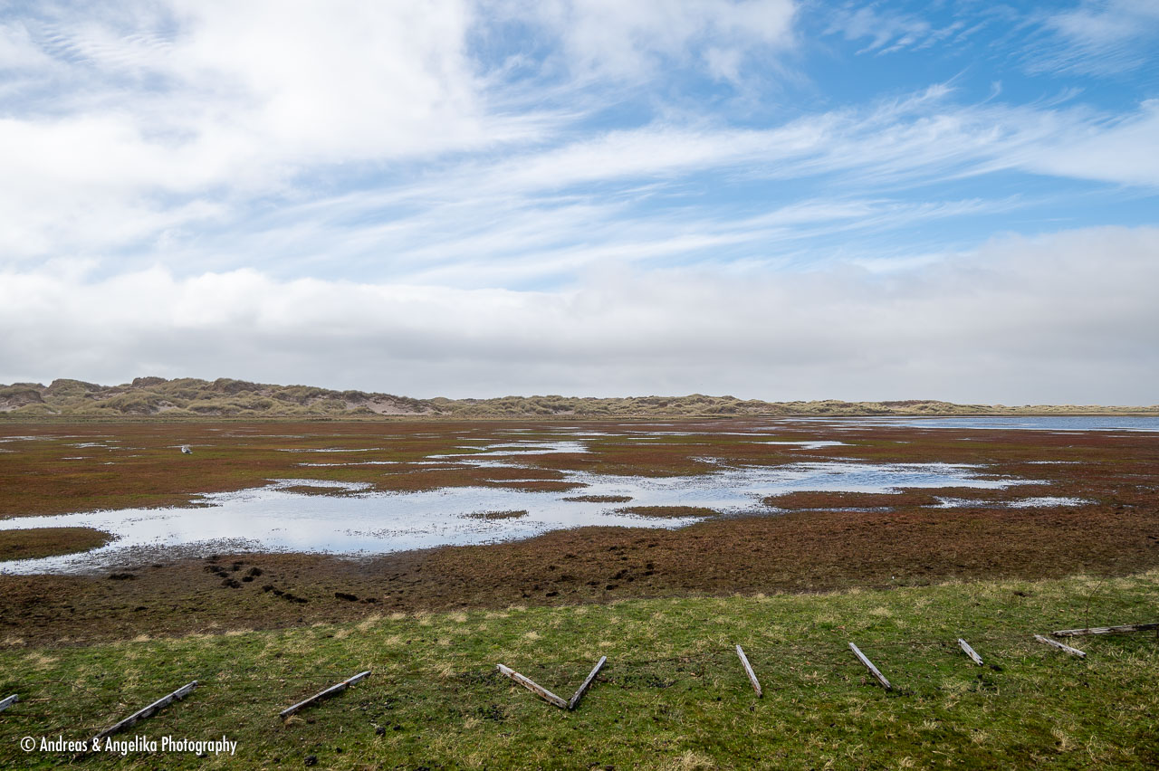 an-Falkland-2024-02-20__Z6X3577.jpg