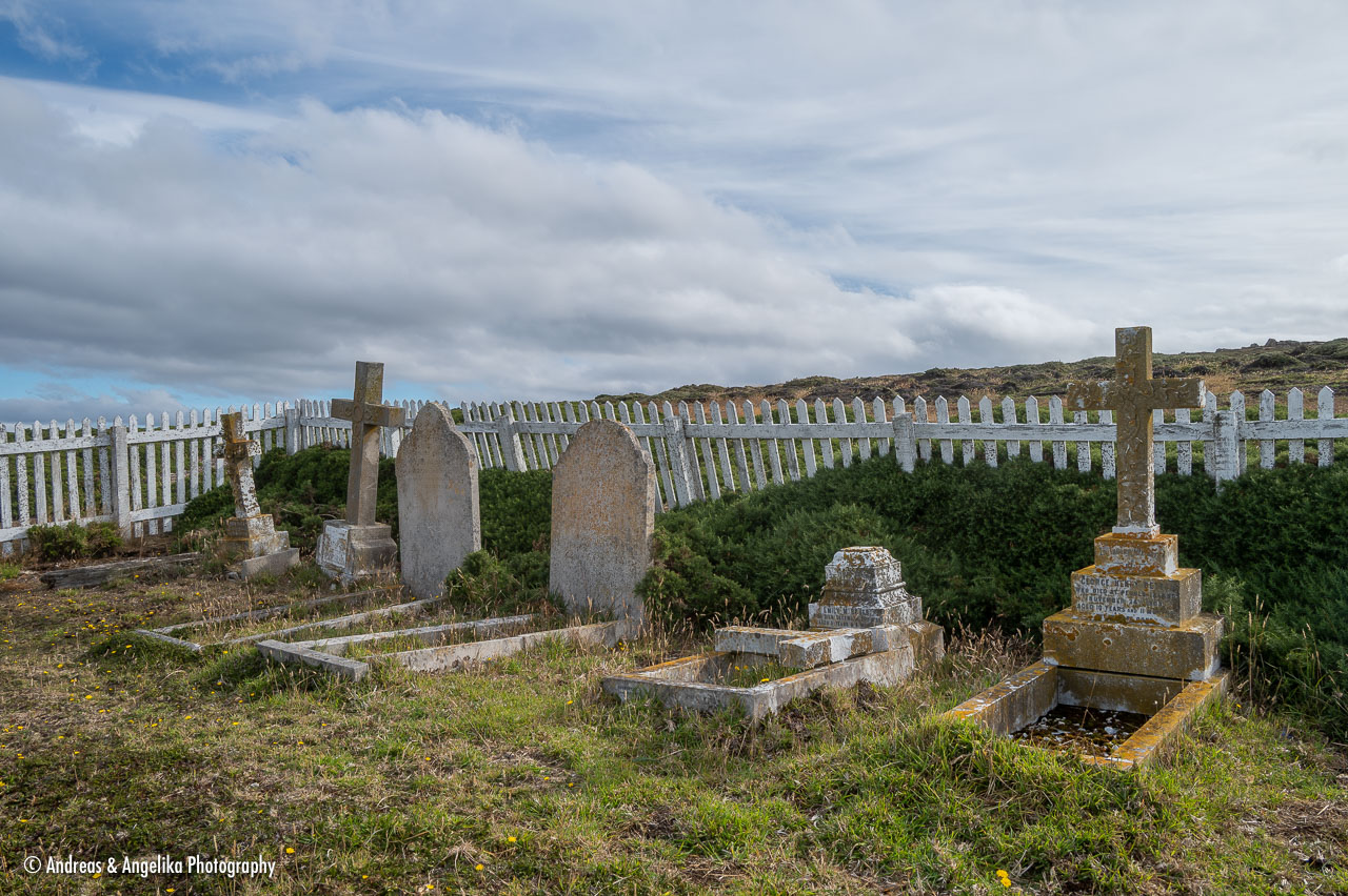 an-Falkland-2024-02-20__Z6X3706.jpg