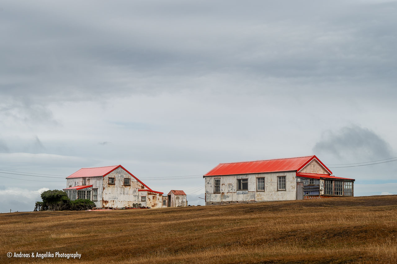 an-Falkland-2024-02-22__Z6X5130.jpg