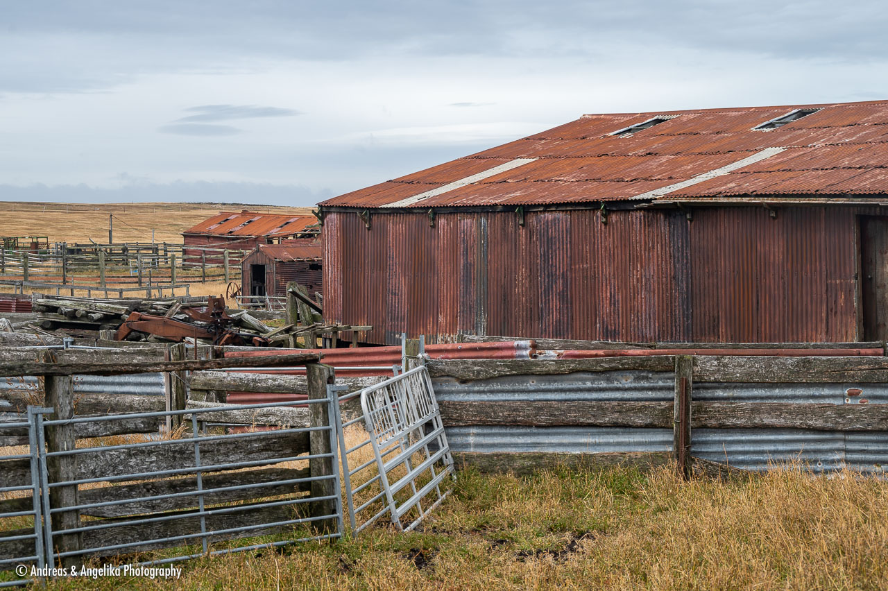 an-Falkland-2024-02-22__Z6X5215.jpg