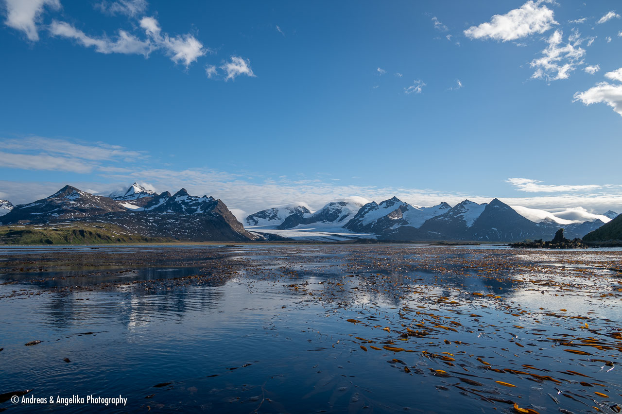 an-Suedgeorgien-2024-02-28__Z6X0968.jpg