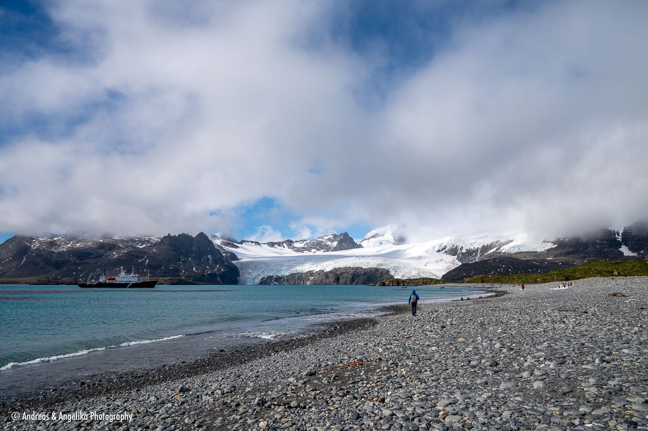 an-Suedgeorgien-2024-02-28__Z6X8654.jpg