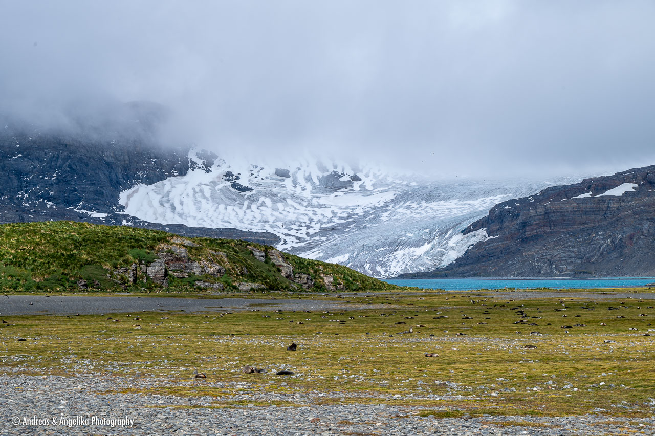 an-Suedgeorgien-2024-02-28__Z6X8866.jpg