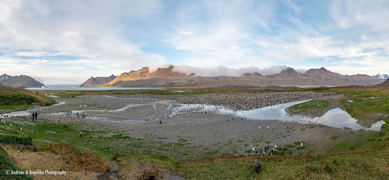 an-Suedgeorgien-2024-03-03__Z6X0403-Pano-Pano.jpg