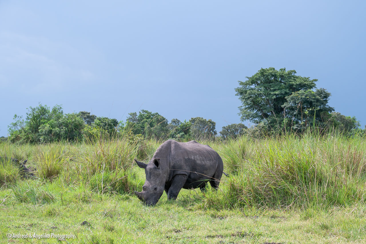 an-Uganda-2024-09-15__Z6X6844.jpg