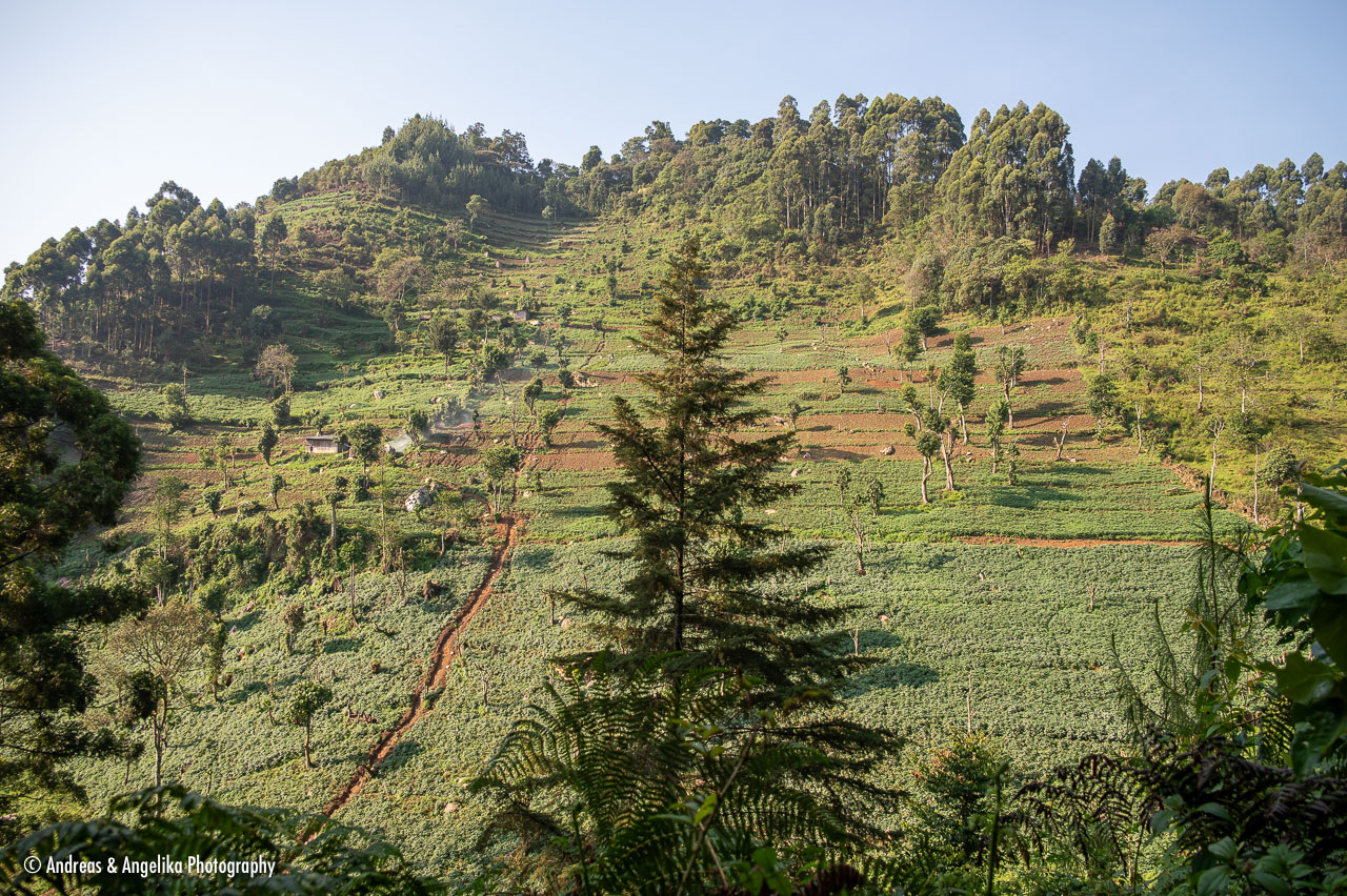 an-Uganda-2024-09-27__Z6X3928.jpg