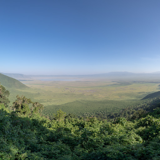 2019-02-10 Ngorongoro Crater