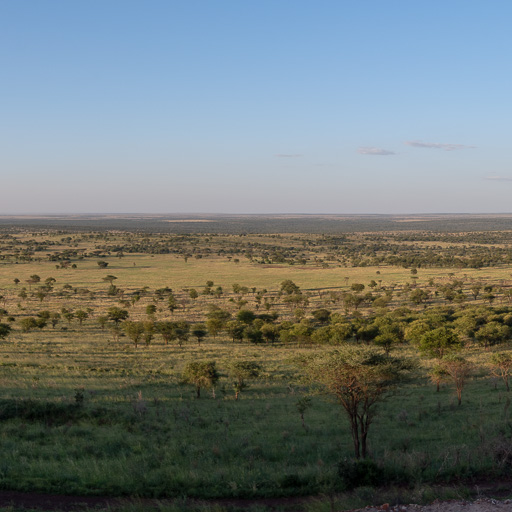 2019-02-13 Central Serengeti