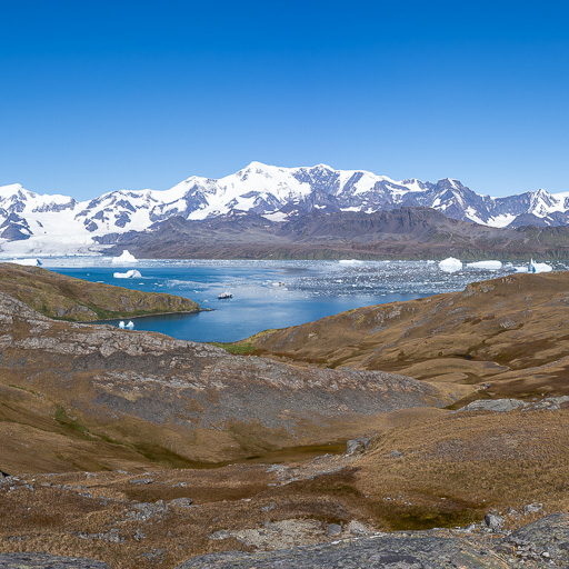 2024-03-03 Sandebugten