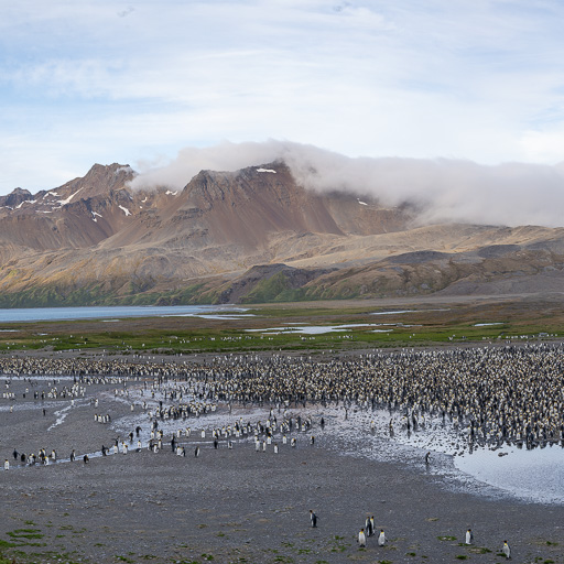 2024-03-03 Fortuna Bay